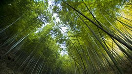 公开信息按发布时间滚动